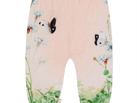 Molo Kitten Pants Susanne Sweatpants on Sale