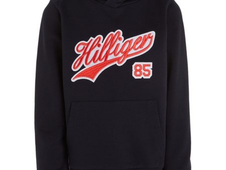 Tommy Hilfiger Hilfiger Script Hoodie Desert Sky Supply