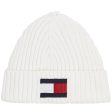 Tommy Hilfiger Big Flag Hue Acient White Discount