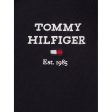 Tommy Hilfiger Th Logo Full Zip Hoodie Desert Sky Online Hot Sale