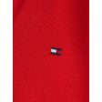 Tommy Hilfiger Colorblock Rugby Langærmet Polo Red White Colorblock on Sale