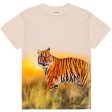 Molo Tiger Sand Roxo T-Shirt For Cheap