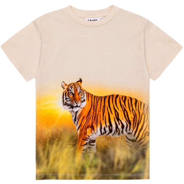 Molo Tiger Sand Roxo T-Shirt For Cheap