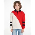 Tommy Hilfiger Colorblock Rugby Langærmet Polo Red White Colorblock on Sale