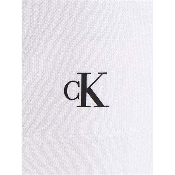 Calvin Klein Chest Inst. Logo T-Shirt Bright White Online