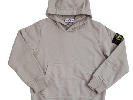 Stone Island Sweatshirt Dove Grey For Sale