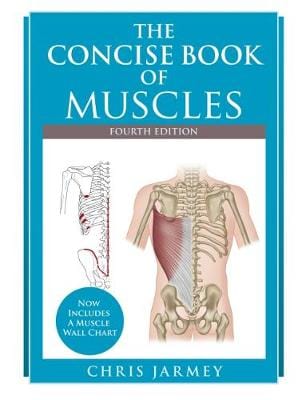 The Concise  Book of Muscles  Fourth Edition For Cheap